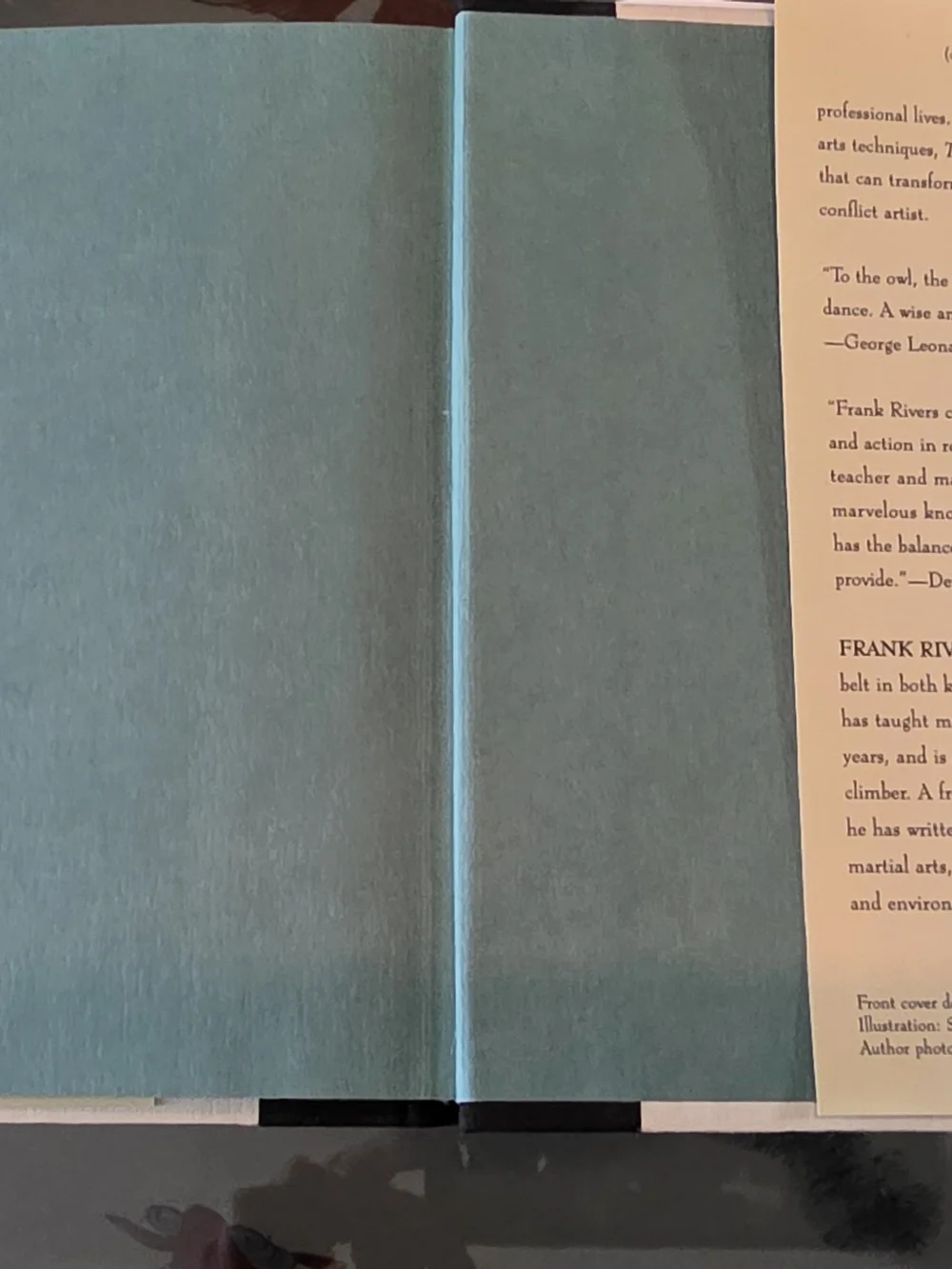 'The Way of the Owl' Hardcover - Blue & Cream